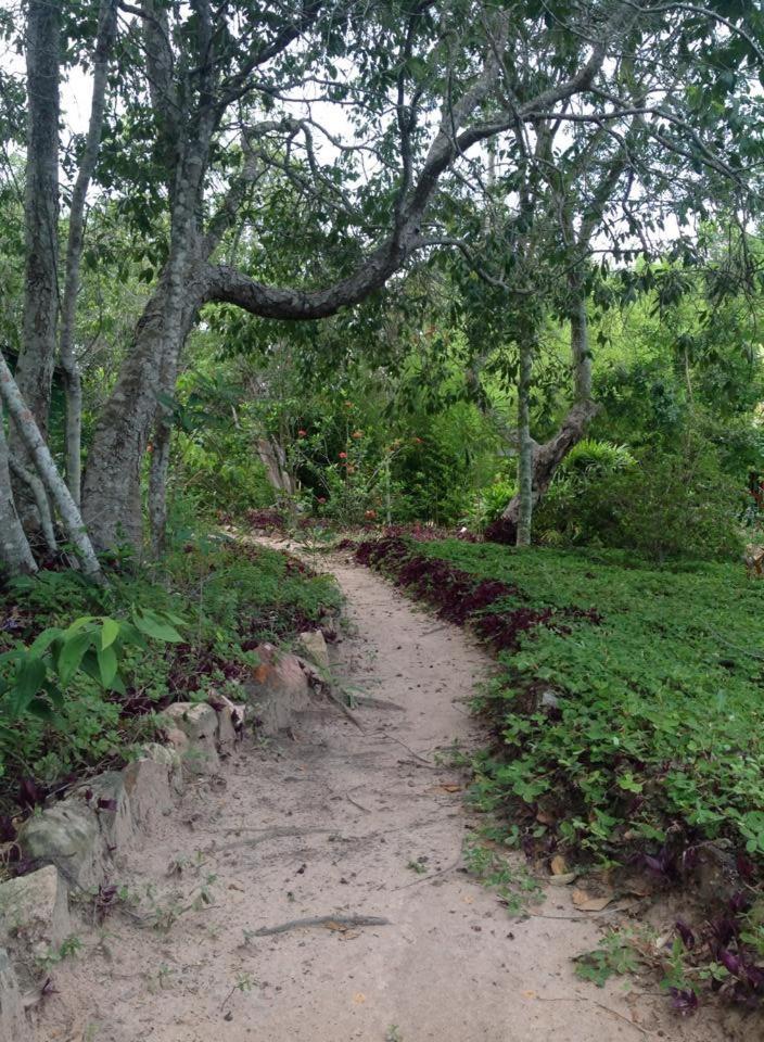 Riachinho Pousada Fazenda Vale do Capao Dış mekan fotoğraf